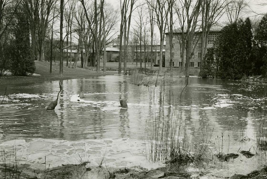 Flooding of Japanese Garden, 1957 Flooding of Japanese Garden, 1957