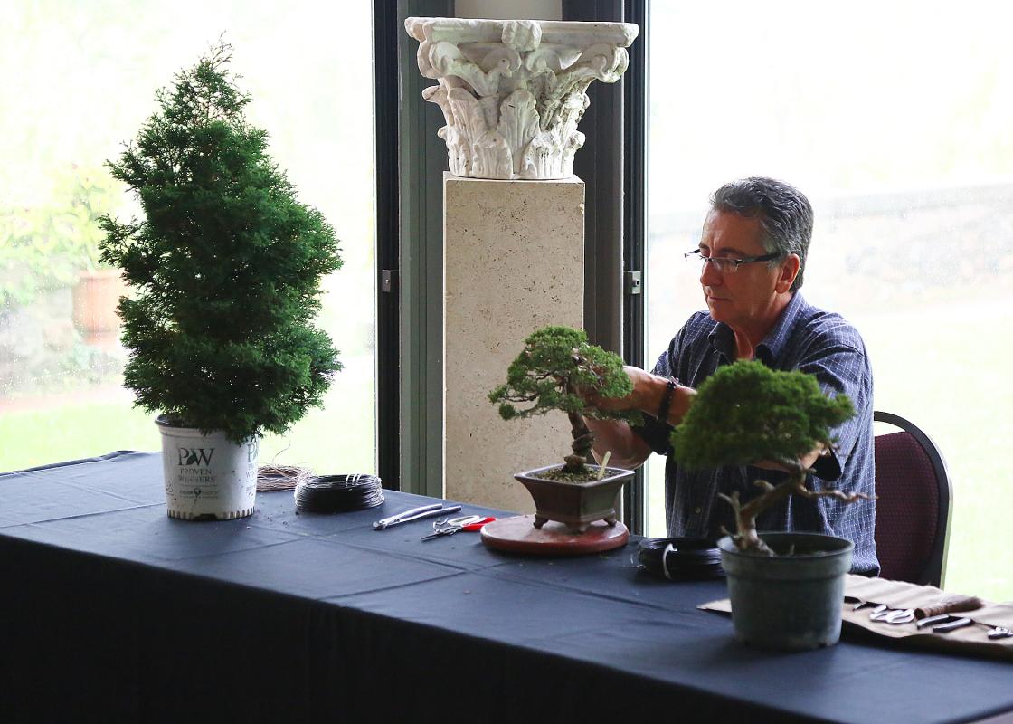 Bonsai demonstration by Jack Sustic Bonsai demonstration by Jack Sustic