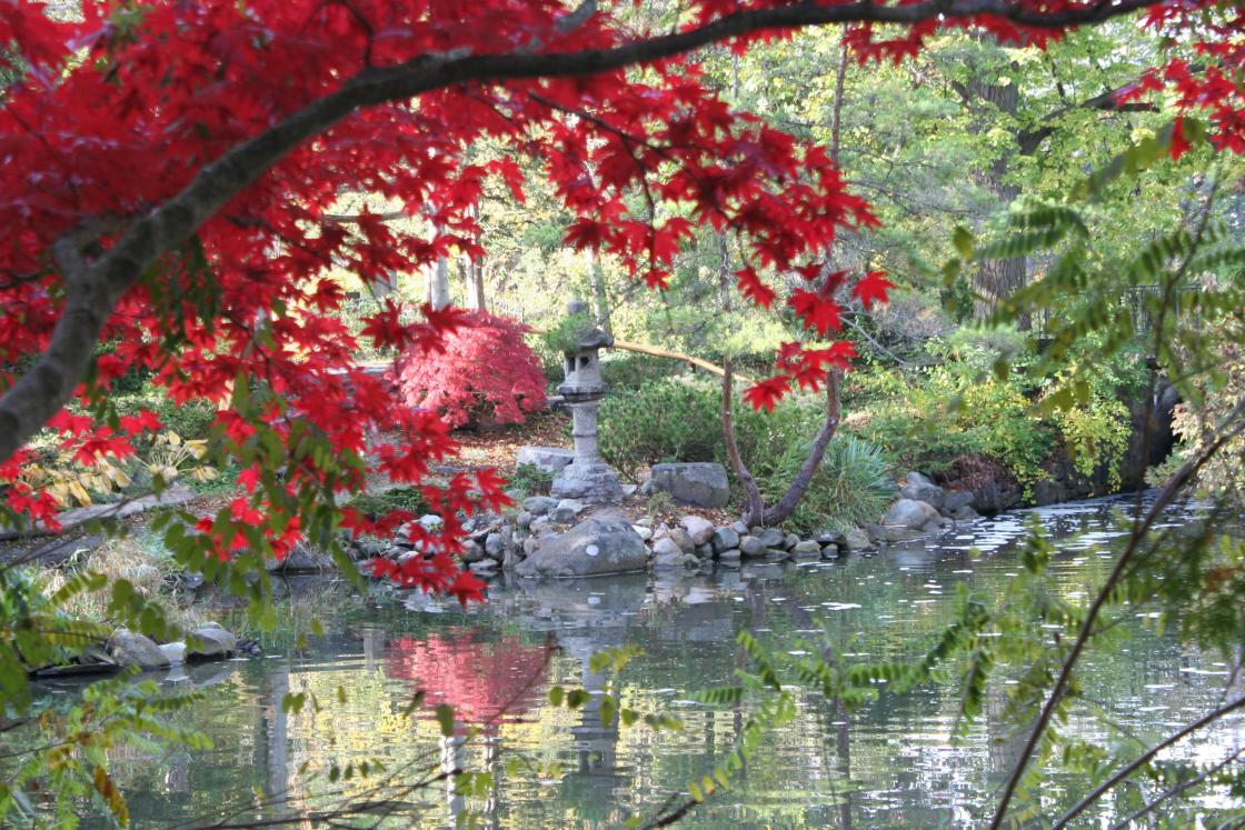 Japanese Garden at Cranbrook, 2016 Japanese Garden at Cranbrook, 2016